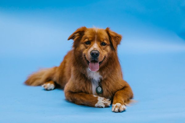 Whats Wrong With The Zoo